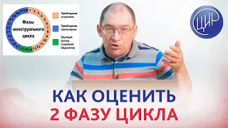 Овуляция и недостаточность лютеиновой фазы. Как оценить 2 фазу цикла. Рассказывает Гузов И.И.