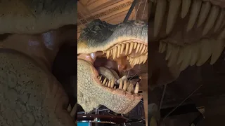 Dinosaur 🦕 🦖 in nature history museum London #shorts #short #london n