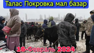 Мал базар Талас Покровка 16-Февраль 2024