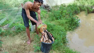 Unique Fish Trapping - Smart Boy Make Fish Trap Using Coconut Catch Alot of Small Fish #fishing