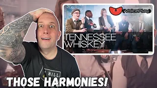 Voiceplay Sings "Tennessee Whiskey" || Musician Reacts