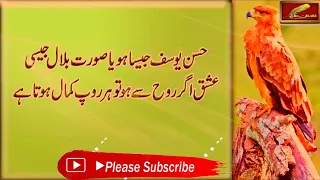 4 Baten Apni Biwi Ko Kabhi Mat Batana Wife and Husband Hazrat Ali Ne Farmaya   Rj Shan Ali