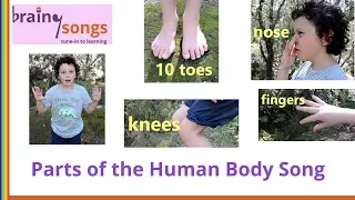 Parts of the Human Body Song | Freeze!