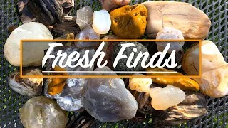 Rockhounding & Exploring after the Flood | Rock Hunting for Agates, Jasper, and Petrified Wood