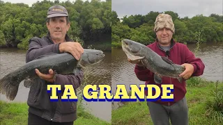 Ta grande !!! la tararira más grande que sacamos. Pesca en agua dulce.