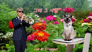 "그때 그 사람" 트럼펫커버(Trumpet Cover)