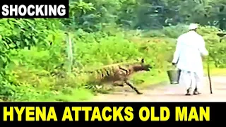 SHOCKING: Hyena attacks old man near forest in India