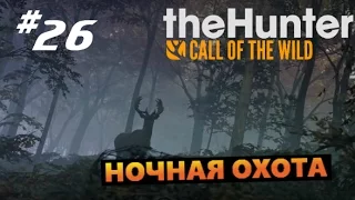 theHunter Call of the Wild # 26 Ночная охота (night hunting)