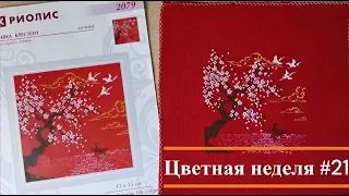 Цветная неделя 21 // 16.06.2023 - 22.06.2023 // Вышивка крестом