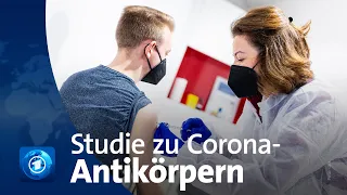 Corona-Antikörper: Drei Viruskontakte schützen am besten