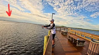 This Empty Pier Was Loaded with Fish! | Port Charlotte Beach
