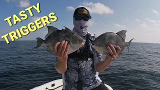 Targeting the most delicious fish in the Ocean.#triggerfish