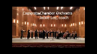 Camerata Chamber Orchestra   Serenade for Strings in E minor   Elgar