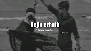 Nejin ezhuth | slowed reverb| musicx_vibe