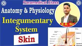 Human Skin | Integumentary system Anatomy in Hindi | Structure | Layers | Functions | Part-1 KK Sir
