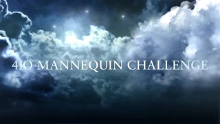 Magic Mannequin Challenge/ Манекен челлендж 2016