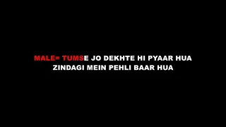 Tumse jo dekhte hi pyar karaoke ( patthar ke phool )