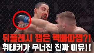 휘태커가 뒤플레시의 잽에 무너진 진짜 이유 [UFC 290]