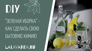 4 средства для чистого и безопасного дома (которые вы сделаете сами за 2 минуты)