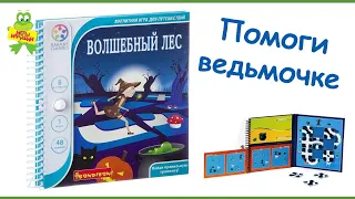 "Волшебный лес" - магнитная компактная игра для путешествий BONDIBON SMARTGAMES