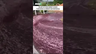 Portugal Viral Video: Streets Flooded With Streams Of Red Wine #shorts #viral