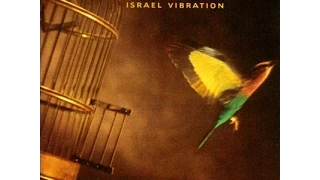 ISRAEL VIBRATION - System Not Working (Free To Move)