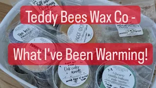 Teddy Bees Wax  - What I've Been Warming / Faves! #teddybeeswaxco #vendorwax #preorderwinter2022
