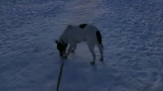 На улице вечерняя сказка, всем волшебства, Любимые