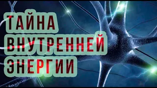 Тайна внутренней энергии | Как дышат наши клетки