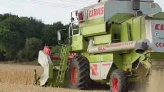 Gerste dreschen/ Claas Dominator 88 SL