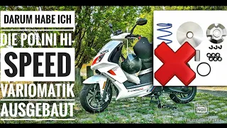 Deshalb habe ich die POLINI VARIOMATIK ausgebaut | Peugeot Speedfight 4 125