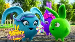 FAMÍLIA | As Aventuras de Sunny Bunnies | Desenhos Animados Infantis