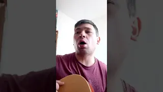 Разреши мне КИНО. cover