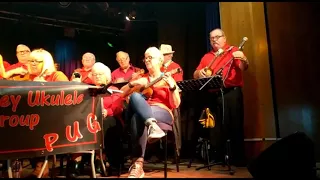 Pevensey Ukulele Group (PUG) in concert at the Underground Theatre Eastbourne