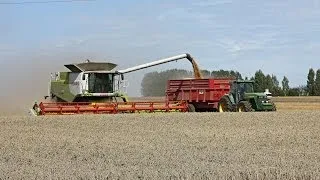 Moisson 2011 Claas Lexion 770 Terra Trac - wheat harvest