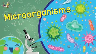 Microorganisms - What are Microorganisms? (Learning Videos For Kids)