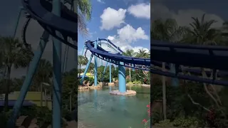 Mako Roller Coaster SeaWorld