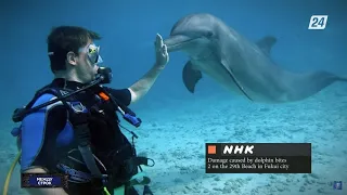 Почему дельфины стали нападать на людей? | Между строк