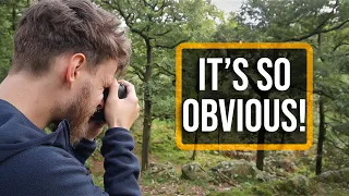 The BEST Woodland Photography Advice I've Ever Heard!