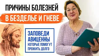 Причины болезней в безделье и гневе. Заповеди Авиценны которые помогут вам прожить долго