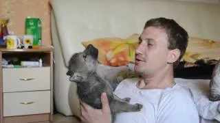 Man Teaches Wolf Pup to Howl