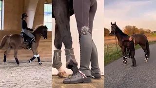 Horse TikToks That Went Viral! #23