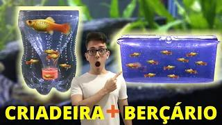 CRIADEIRA e BERÇÁRIO CASEIRO FÁCIL PARA PEIXES (GUPPY, PLATY, MOLINESIA, ESPADA, ETC)