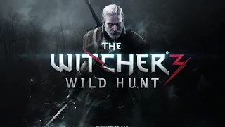 The Witcher 3 Wild Hunt language + Save location