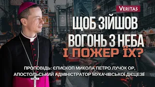 Щоб вогонь зійшов з неба і пожер їх? Проповідь: єпископ Микола Петро Лучок ОР