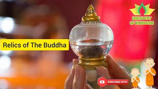 Relics of The Buddha #buddharelics #discoveryofbuddhism #buddha