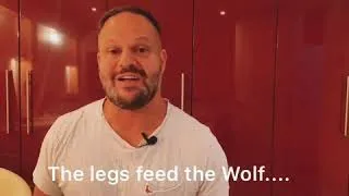 The legs feed the Wolf ..