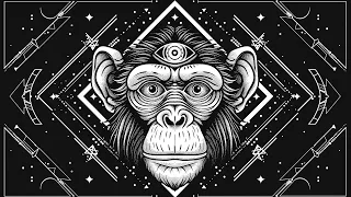 Spirit Techno Music 2024 Elemental Monkey [Radio Stream]
