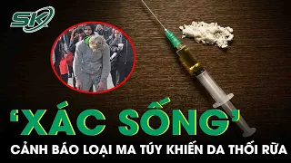 Mỹ Cảnh Báo Loại Ma Túy 'Xác Sống' Khiến Da Thối Rữa | SKĐS