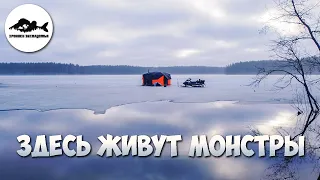 ЗА БОЛЬШОЙ ЩУКОЙ 🔥 РЫБАЛКА НА жерлицы на лесных озёрах Ленинградской области. Ночуем в палатке.